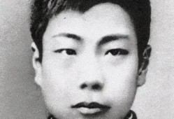 鲁迅最新爆料视频大全播放,揭秘历史真相，引发热议