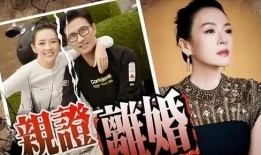 刘大锤最新爆料回归视频,回归视频背后的精彩故事