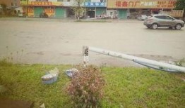 五华爆料新闻最新情况,最新进展揭示惊人真相！